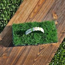 Maybe you would like to learn more about one of these? Sodpods Bermuda Grass Plugs 16 Count Natural Affordable Lawn Improvement Spbm16 The Home Depot
