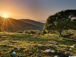 Sempurnakan desainmu dengan gambar pantai indah. Pemandangan Indah Pemandangan Hijau Unduhan Wallpaper Hd