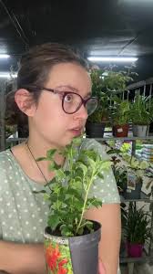 Demos la bienvenida a los nuevos miembros. Joel Perez, Jimmy Otoniel Ramirez  Cruz