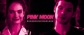 𝐏𝐈𝐍𝐊 𝐌𝐎𝐎𝐍; Klaus Mikaelson