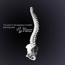 The Spine Is The Gateway To Health Getadjusted Chiropractic Chiropractor Chiropractic Care Chiropractic Care Facts Chiropractic