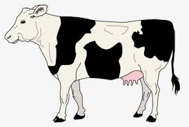 Semua sumber hewan ini untuk diunduh. Lineback Cattle Hd Png Download Kindpng