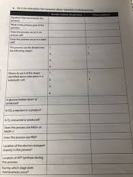The set of reactions that comprise aerobic respiration is one of the most common energy conversion pathways found in organisms. S Fill In The Table Below That Compares Cellular Chegg Com