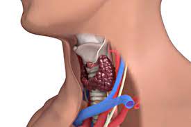 Other thyroid problems, such as a goiter; Thyroid Cancer Signs Symptoms And Tests Head And Neck Cancer Types Head And Neck Cancer Australia
