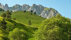 Nacionalni park sutjeska je najstariji i najveći nacionalni park u bih koji je po svojim prirodnim vrednostima i lepotama biser bosne i hercegovine. Zelengora Mountain Peaks And Meadows Sutjeska National Park Bosnia And Herzegovina Windows 10 National Parks Travel Around The World Bosnia And Herzegovina