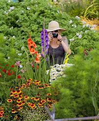 Ex Roller Derby Queen Jessi Bloom Is A Rock Star In The Ecological Gardening Movement Rockstar Bloom Seattle Times