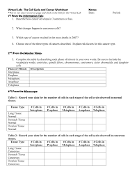 The cell cycle and cancer 1. Virtual Lab The Cell Cycle And Cancer