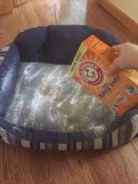 safe natural way to deodorize your dog bed simply sprinkle baking soda on your dogs bed allowed to sit vacuum out and your do dog bed pure products deodorant