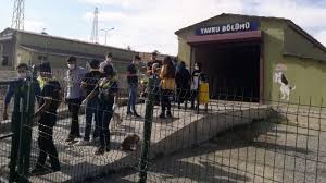 van buyuksehir belediyesi hayvan barinagi tam not aldi van son dakika haberler