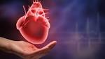  New pathway to reverse the effects of cocaine on heart found
