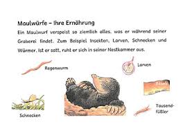 Leseportfolio aufgaben,leseportfolio vorlage,alleingelassen john charakterisierung,lesetagebuch gestaltungsideen,portfolio über ein buch beispiel,lesetagebuch. Pfax71 Cc0b Wm