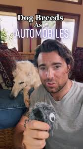 Dog Breeds as Automobiles