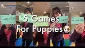 Crate games are a fantastic way to teach your dog to run in and out of the crate on command willingly, and they are fun to play for both of you. Crate Games Youtube