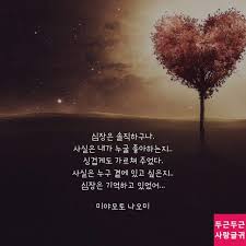 심장은 솔직하구나 사랑시 사랑에 관한 인용구 명언