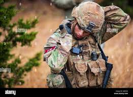 Jan abel hi-res stock photography and images