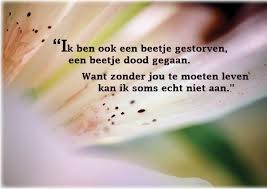 Ik Ben Ook Een Beetje Gestorven Een Beetje Dood Gegaan Want Zonder Jou Te Moeten Leven Kan Ik Soms Echt Niet Aan Www Face Rouw Troostende Woorden Ik Mis Je