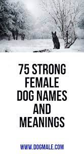Cool female dog names with meanings; Pin On Pets