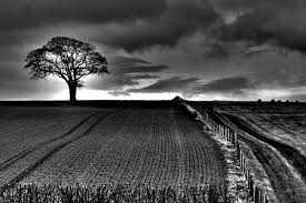 Pohon kahl musim dingin mendesain dengan hitam dan putih 50 contoh luar biasa untuk. Foto Hitam Putih Lebih Keren Benarkah Halaman All Kompasiana Com