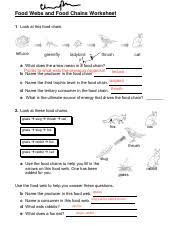 Trophic levels are the feeding positions of all organisms in a specific ecosystem. Food Webs And Food Chains Worksheet Pdf Food Webs And Food Chains Worksheet 1 Look At This Food Chain Lettuce Greenfly Ladybird Thrush Cat A What Does Course Hero