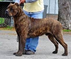 I Pinimg Com 474x 94 A4 56 94a456659e7cb77371c6