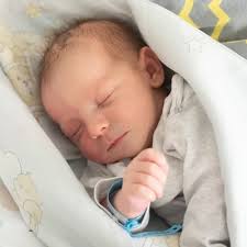 Ze skarbówki w Wodzisławiu, na stanowisko dyrektora IAS w Katowicach •  Wodzisław Śląski