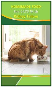Homemade Food For Cats With Kidney Failure Homemade Kidney Care Cat Food Can Slow The Progression Of Kidney Disease Cat Food Sensitive Stomach Cat Food Cats