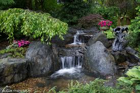 Is a certified aquascape contractor, and has become recognized as one of the top 10 aquascape contractor/retailer in the country. Aquascape Inc On Twitter Who Can Resist A Waterfall Its Tranquil Sounds Will Lure House Guests Over To Admire Your Water Garden More About The Sounds Of Waterfalls Https T Co Zst0autr5t Https T Co Mt9rijfsai