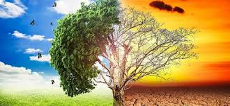 Mantente al día de los últimos estudios científicos y descubrimientos en el espacio. Cambio Climatico