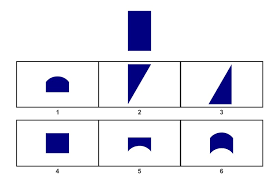 Between block design and visual puzzles (perceptual reasoning subtests). Wisc Test Sample Questions For 9 Year Olds Testingmom Com