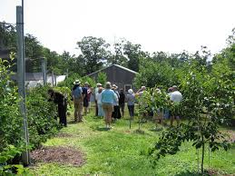 Edible Landscaping Plant Sale Buy Plants Online From Our Garden Center And Plant Nursery