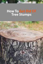 How To Get Rid Of Tree Stumps Permanently 2021 Own The Yard Tree Stump Removing Tree Stumps Stump Removal