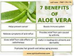 Health benefits of aloe and cactus. Surprising Benefits Of Aloe Vera By Dr Prashant K Vaidya Lybrate