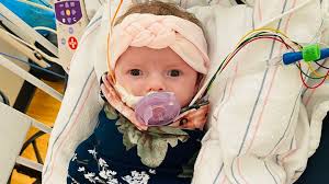 Fundraiser for Hailey Chambers by Zachary Chambers : Dear Darla #HeartofGold