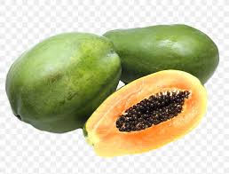 The paw paw is a true native american fruit tree indigenous to the entire eastern half of america, from texas to the great lakes and down the east coast to florida. Papaya Fruit Tree Pawpaw Png 1024x779px Papaya Food Fruit Fruit Tree Gourd Download Free