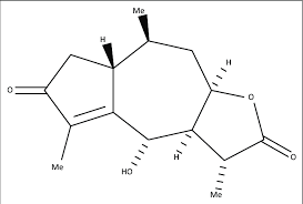 Image result for Geigeria