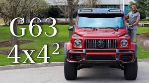 Image result for Hyacinth Red 2016 B