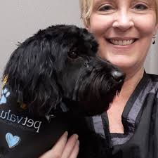 THE BEST 10 PET GROOMERS near SUMMIT HILL, PA