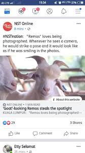 23 november 2019 masa : Kursus Penternakan Kambing Pedaging Asas Perniagaan Sabah Home Facebook