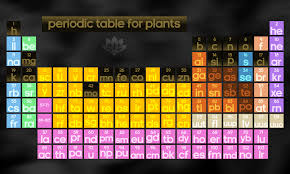 The Periodic Table Of Essential Nutrients For Healthy Happy Plants Highlighted In Black And Gold Periodic Table Urban Garden Plants