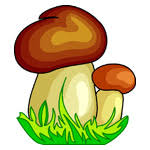 ÐŸÐ¾ÑÐ¾ÐÐÐ Ð¸ÐÐ¾ÐÑÐÐÐÐ½Ð¸Ð