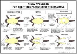 11 Meticulous Ragdoll Pattern Chart