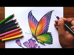 A finished butterfly drawing with crayons. How To Draw A Butterfly With Colour Pencils Youtube