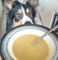 4 in addition to using a slow cooker, you'll also need a soup maker for this recipe. This Week S Soup Of The Week Recipe Is A Much Requested One Which I Have Been Holding Up My Sleeve An Utterl Soup Maker Recipes Soup Maker Creamy Chicken Soup