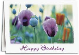 Nature And Scenic Photograph Birthday Cards Smartpractice Chiropractic Happy birthday wishes floral butterfly paper napkin serviette | etsy. nature and scenic photograph birthday