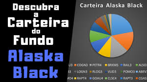 Quero ficar rico para dar. Descubra A Carteira De Ativos Do Fundo De Acoes Alaska Black Youtube