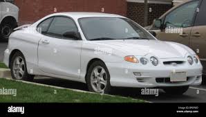 Image result for Nordic White 2000 Tiburon