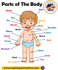 Pin On English Teaching And Learning