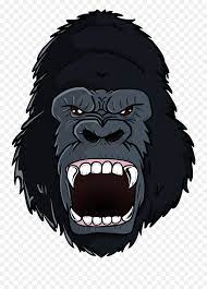 Screaming gorilla gorilla scream muscle gorilla animal muscles gorilla vector orangutan draw ape tattoo angrey gorilla head angry monkey orangaton colouring. Clip For Free Download Angry Gorilla Cartoon Png Gorilla Cartoon Png Free Transparent Png Images Pngaaa Com