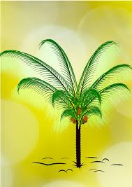 Panen kelapa sawit pokok rendah ll merdeka. Pohon Kelapa Sawit Daun Gambar Gratis Di Pixabay