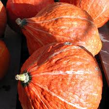 We did not find results for: Bagging Plants To Prevent Cross Pollination Of Vegetables Finegardening